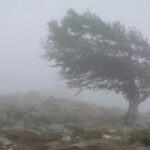 WhatsApp Image 2025-05-08 at 6.28.29 PM