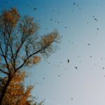 WhatsApp Image 2025-05-08 at 6.28.31 PM